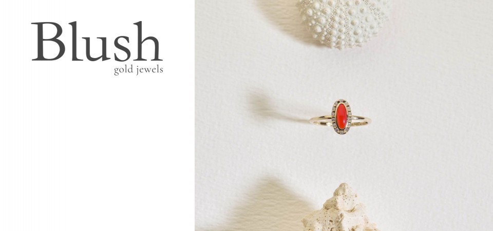 Bekijk onze ringen !