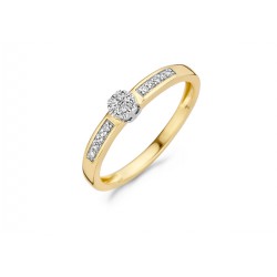 Blush Diamonds Ring Geel en WitGoud met Diamant  0.12ct 1623BDI MAAT 17 - 49698