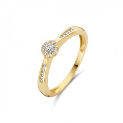 Blush Diamonds Ring 14k Geelgoud met diamant 0.08ct en 0.11ct 1632YDI MAAT 17 - 51541