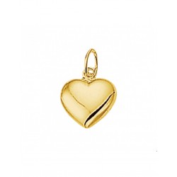 Gouden Hanger hart - 42064