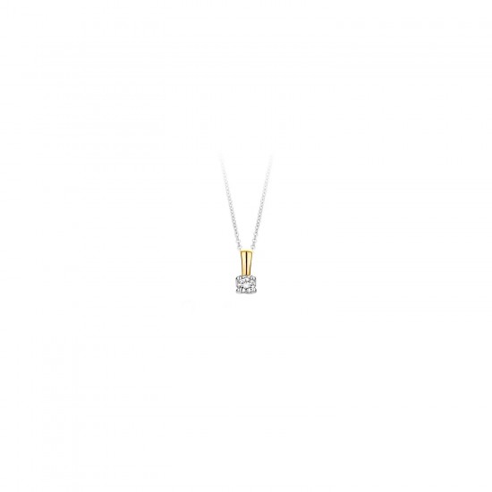 Blush Hanger 14k Geel en Wit Goud met Diamant 0.05crt MAAT 2,9mm 6600BDI - 49521