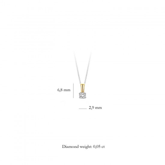 Blush Hanger 14k Geel en Wit Goud met Diamant 0.05crt MAAT 2,9mm 6600BDI - 49521