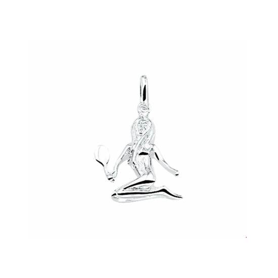 hanger sterrenbeeld - 56058