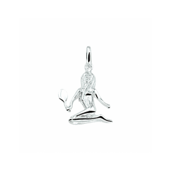 hanger sterrenbeeld - 56058