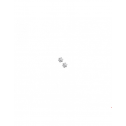 Zilver Oorknoppen zirkonia - 40244