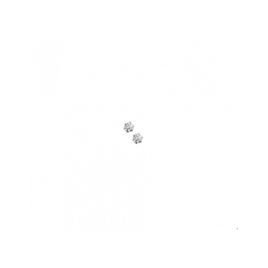 Zilver Oorknoppen zirkonia - 40244