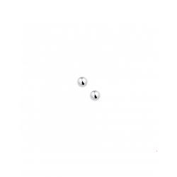 Zilver Oorknoppen bol - 40253