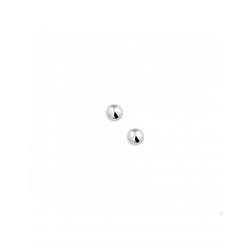 Zilver Oorknoppen bol - 40254
