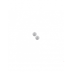 Zilver Oorknoppen zirkonia - 40265