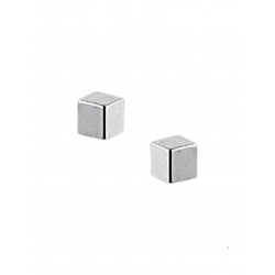 Zilver Oorknoppen blokje - 40317