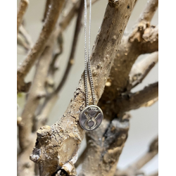 LOTT. Gioielli zilveren ketting STIER - 41732