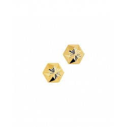 Gouden Oorknoppen ster gediamanteerd - 41984