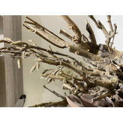 LOTT. Gioielli zilveren ketting KREEFT - 42177