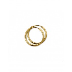 Gouden Oorringen ronde buis - 42036