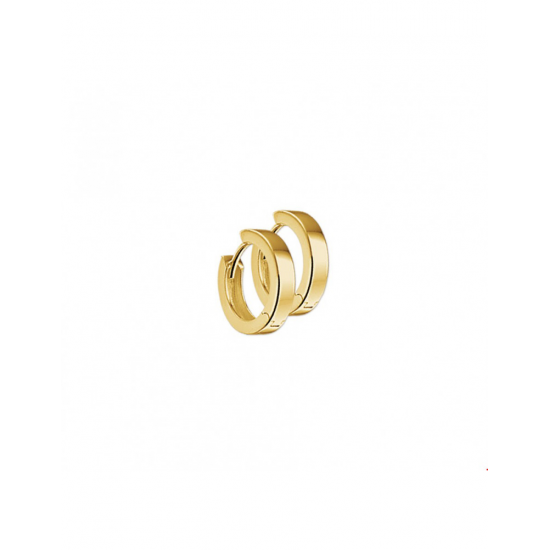 Gouden Klapoorringen 2,5 mm vlak - 42047