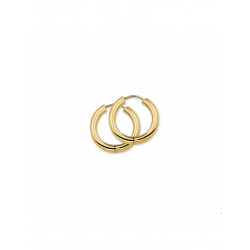 Gouden Klapoorringen 2,5 mm rond 15mm - 42051