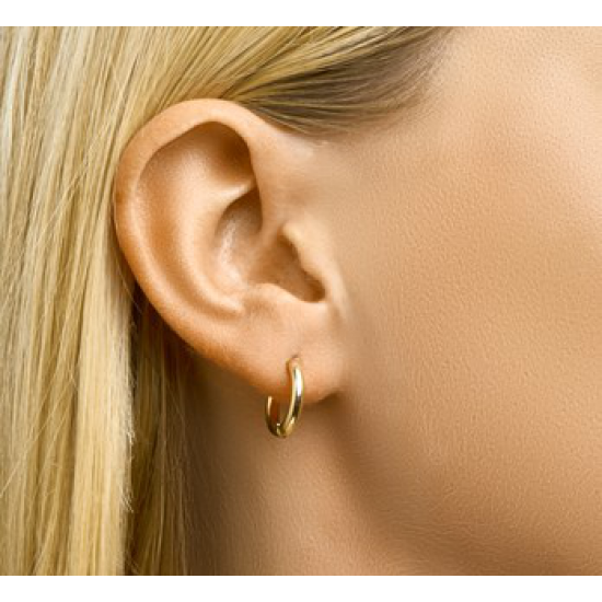 Gouden Klapoorringen 2,5 mm rond 15mm - 42051