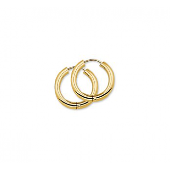 Gouden Klapoorringen 2,5 mm rond 15mm - 42051