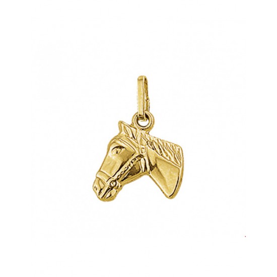 Gouden Hanger paardenhoofd - 42070