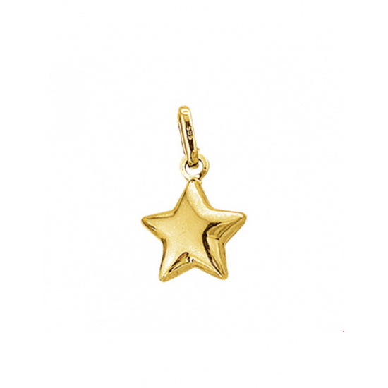 Gouden Hanger ster 11mm - 42076