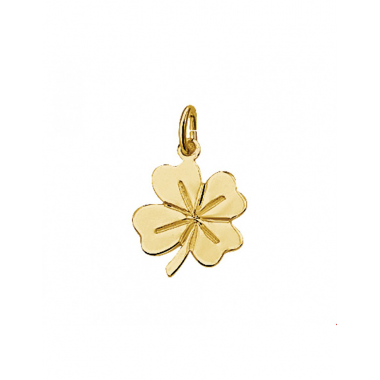14krt gouden Hanger - 42080