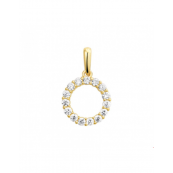 Gouden Hanger zirkonia - 42113