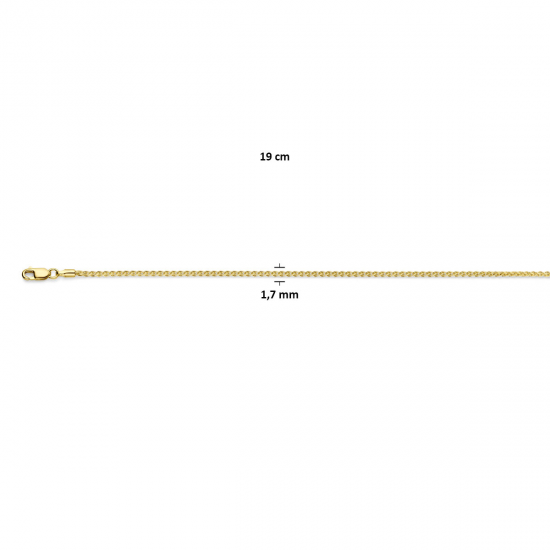 Gouden Armband vossestaart 19cm - 42153