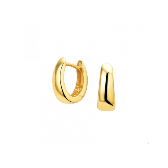 Gouden Klapoorringen - 43151