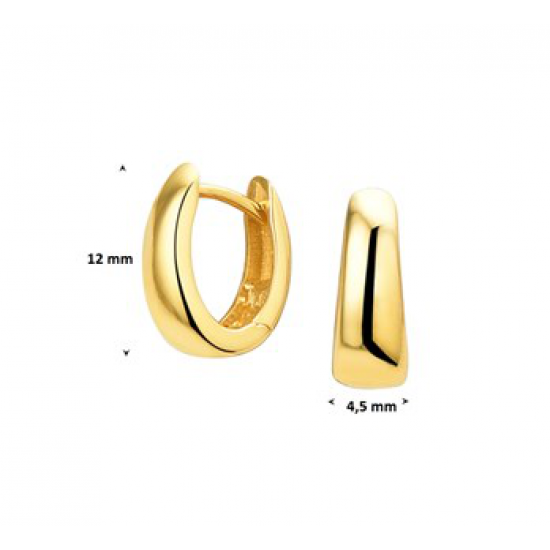 Gouden Klapoorringen - 43151