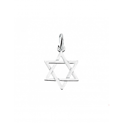 Zilveren Hanger Davidster - 43355