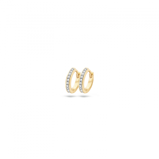 Blush oorbellen Geel en Wit goud met zirkonia 7129BZI MAAT 10,2mm - 45880