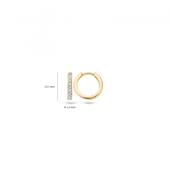 Blush oorbellen Geel en Wit goud met zirkonia 7129BZI MAAT 10,2mm - 45880