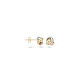 Blush oorbellen Wit, RosÚ en Geelgoud 7157WYR - 45862