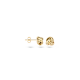 Blush Oorknoppen Geelgoud 7157YGO 6,7mm - 45863