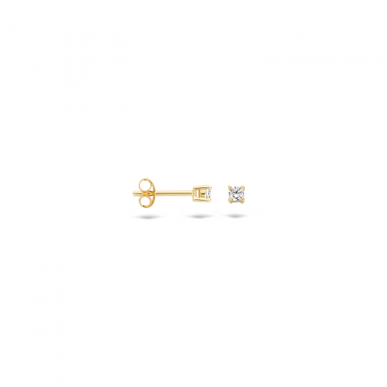 Blush oorbellen Geelgoud 7211YZI maat 2,5mm - 45869