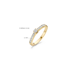 Blush ring Geel goud met Zirkonia 1145BZI MAAT 17 - 46011