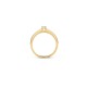 Blush ring Geel goud met Zirkonia 1145BZI MAAT 17 - 46011