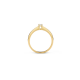 Blush ring Geel goud met Zirkonia 1145BZI MAAT 17 - 46011