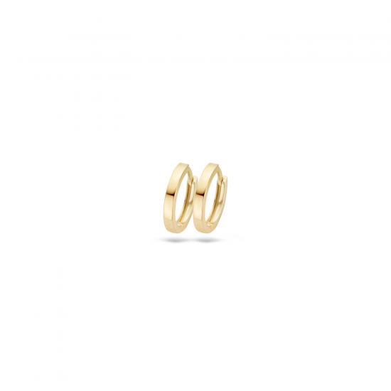 Blush oorbellen Geelgoud 7202YGO MAAT 11,4mm - 46071