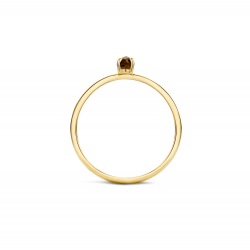 Blush Ring Geelgoud met Smokey Quartz 1204YSQ MAAT 16,5 - 46388