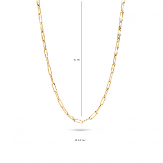 Blush Collier Closed forever Geelgoud 3101YGO MAAT 42 cm - 46437