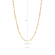 Blush Collier Closed forever Geelgoud 3101YGO MAAT 42 cm - 46437