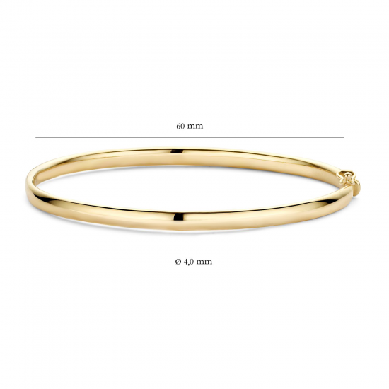 Blush Slaven Armband Geelgoud 2155YGO MAAT 17cm - 46555
