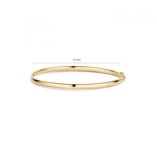 Blush Slaven Armband Geelgoud 2155YGO MAAT 17cm - 46555
