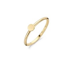 Blush Ring Geelgoud Rondje 1212YGO MAAT 16,5 - 46383