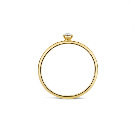 Blush Ring Geelgoud met Zirkonia 1198YZI MAAT 16,5cm - 46384