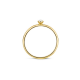 Blush Ring Geelgoud met Zirkonia 1198YZI MAAT 16,5cm - 46384