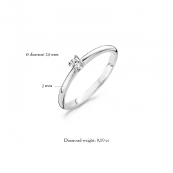 Blush Ring 1602BDI 14k Geel en Wit Goud met Diamant MAAT 17 0.1CRT - 54724