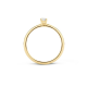 Blush Ring Geelgoud met Zirkonia 1112YZI MAAT 17 - 45819