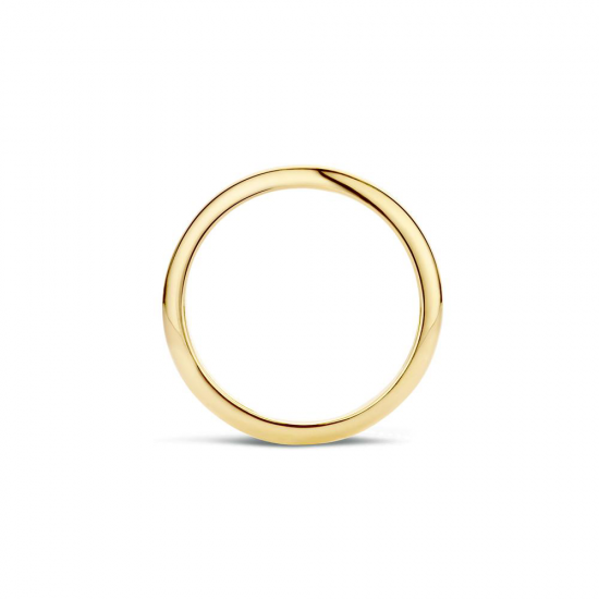 Blush Ring Geelgoud 1117YGO MAAT 17 - 45820